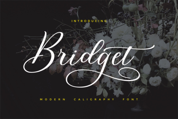 Bridget Script: A Modern Calligraphic Font for Creative Projects