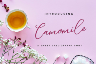Camomile Script: A Calligraphy Font for Modern Brands