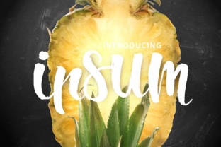 Ipsum Script: Your New Favorite Brush Script Font