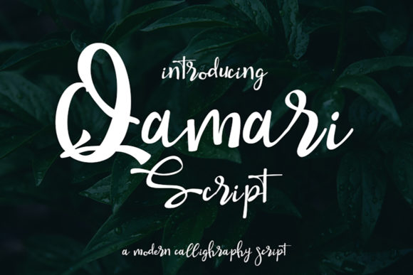 Qamari Script: Adding a Handwritten Touch to Your Designs