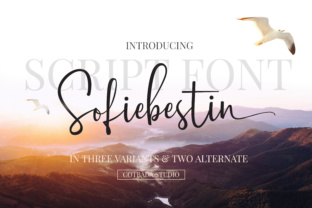 Sofiebestin Script: A Modern Handwritten Font for Authentic Brands