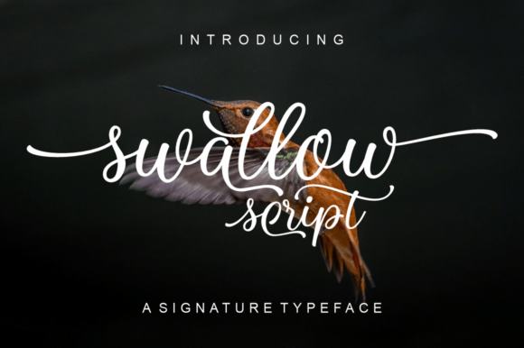 Swallow Script: A Detailed Font for Creative Projects